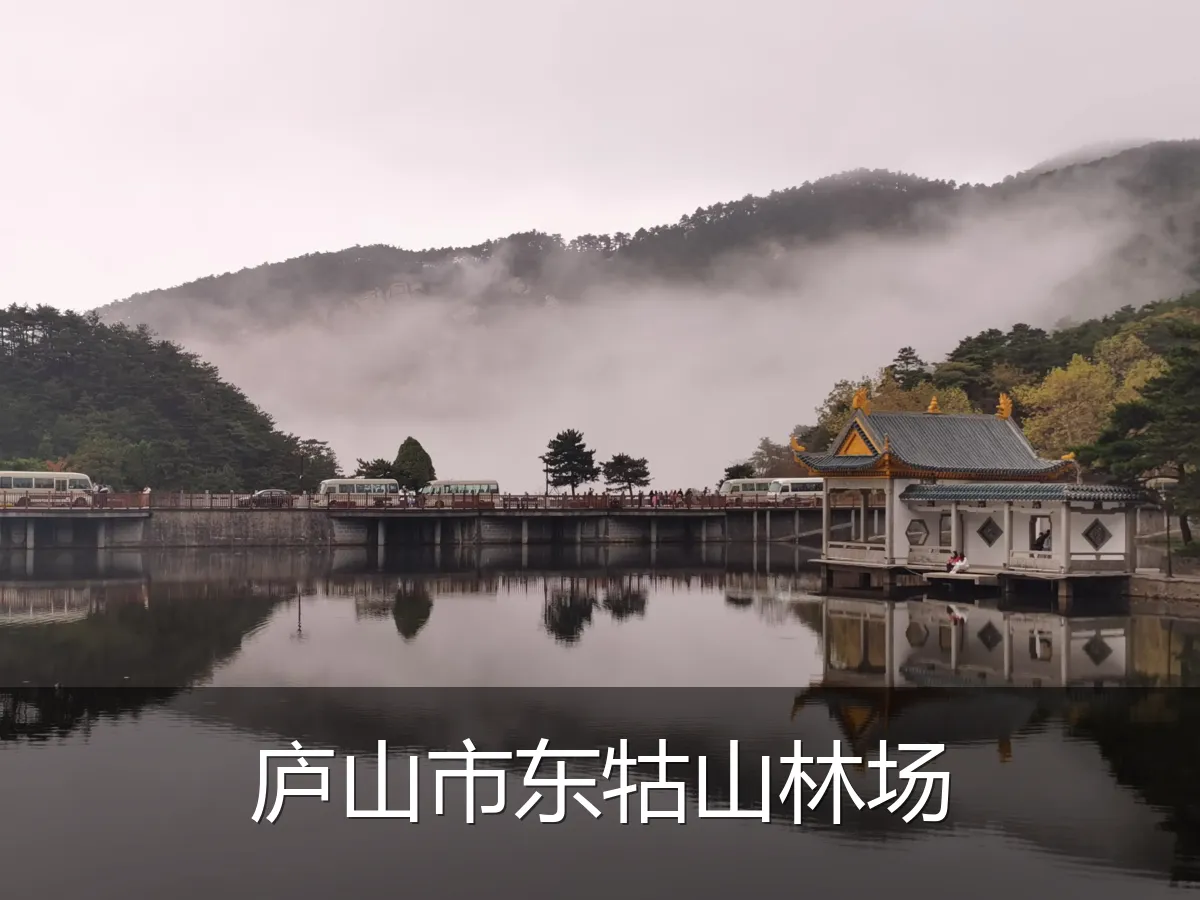 庐山市东牯山林场